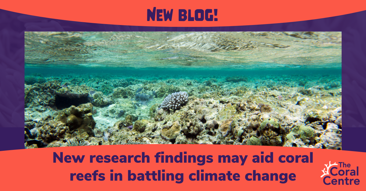 New research findings may aid coral reefs in battling climate change