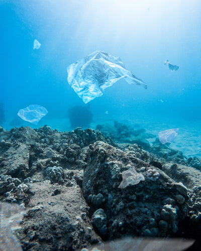 How does plastic in our oceans affect coral reefs?