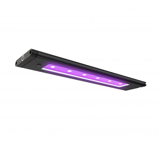D-D AI Blade Coral Glow LED Lighting - 48 Inch