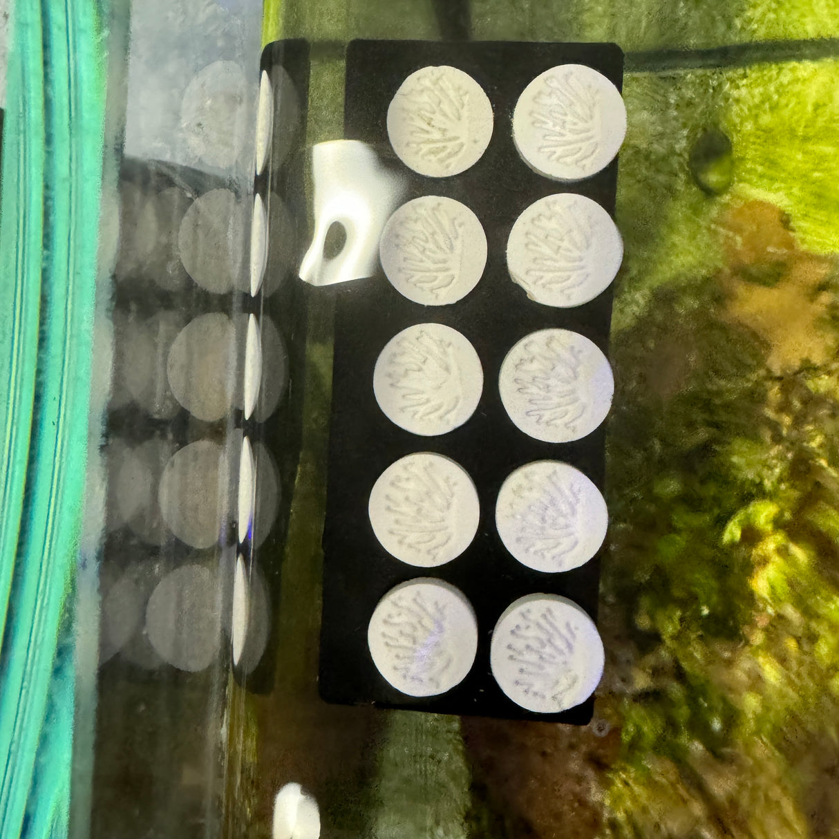 Aqua Edge 3D-Printed 10 Hole Frag Rack Plug Holder
