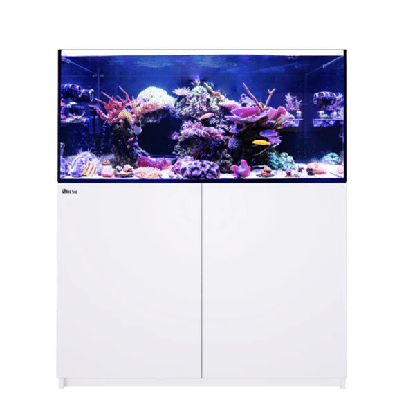 Red Sea Reefer 350 G3 White