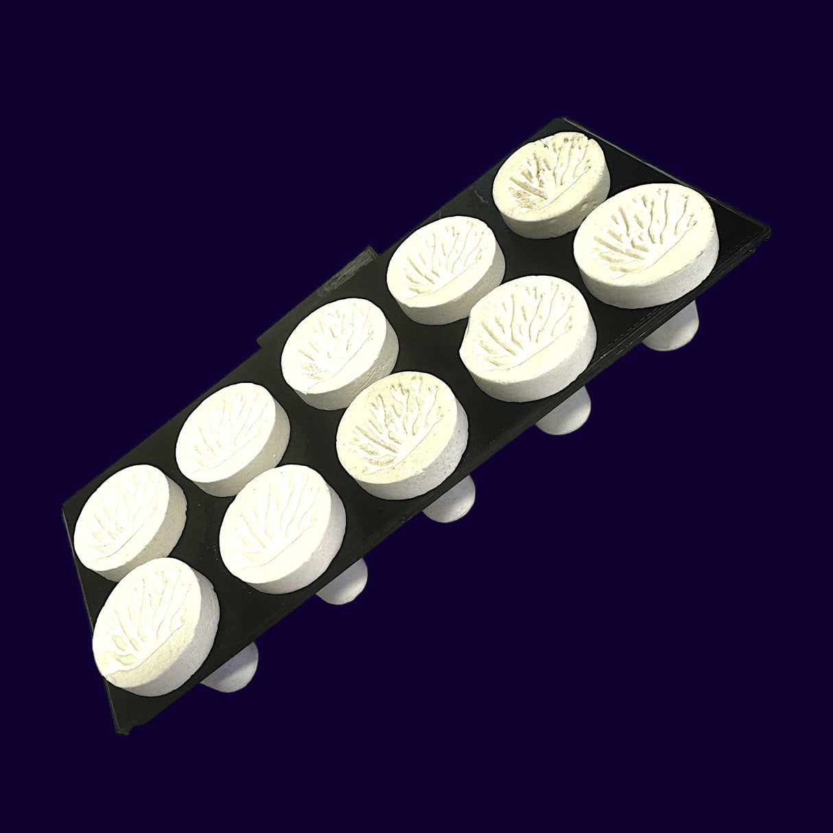 Aqua Edge 3D-Printed 10 Hole Frag Rack Plug Holder