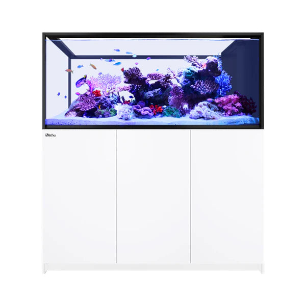 Red Sea Reefer Peninsula S 700 G3 White