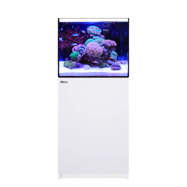 Red Sea Reefer 170 G3 Deluxe - White (incl. 1 X RL115 & arm)