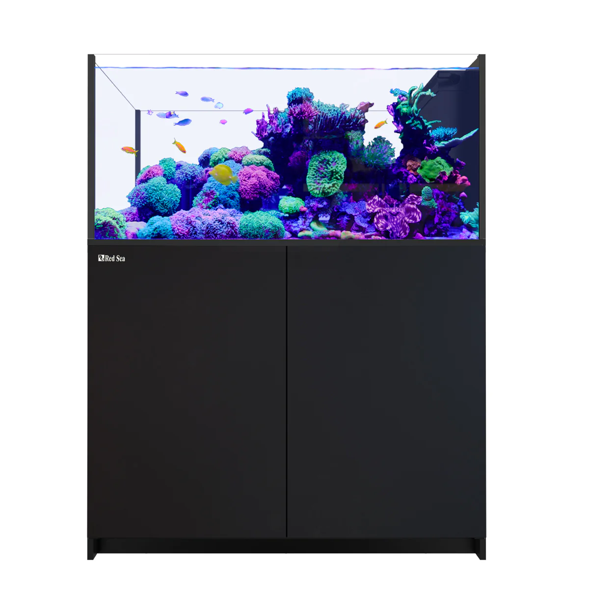 Red Sea Reefer MAX Peninsula 500 G3 Black