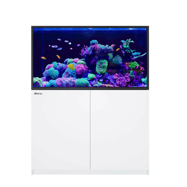 Red Sea Reefer S-550 G3 White