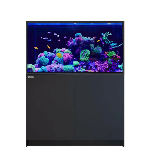 Red Sea Reefer S-550 G3 Black