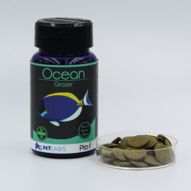 NT Labs Pro-f Ocean Grazer 110g