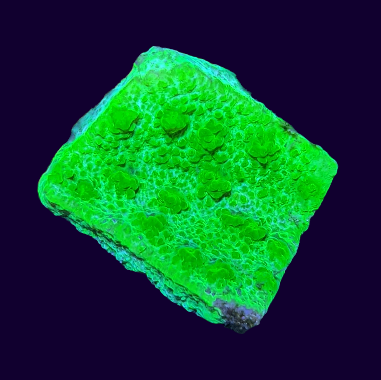 Bright Green Chalice