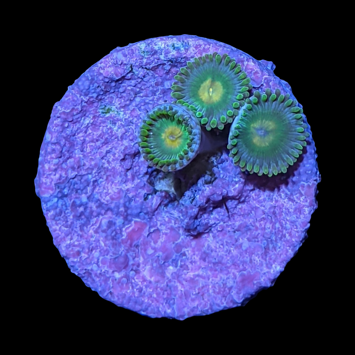 John Deere Zoa Frag