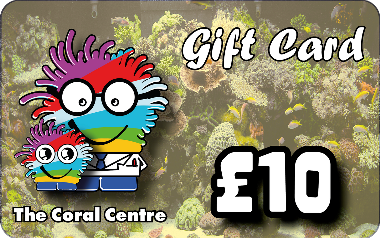 Gift Voucher £10