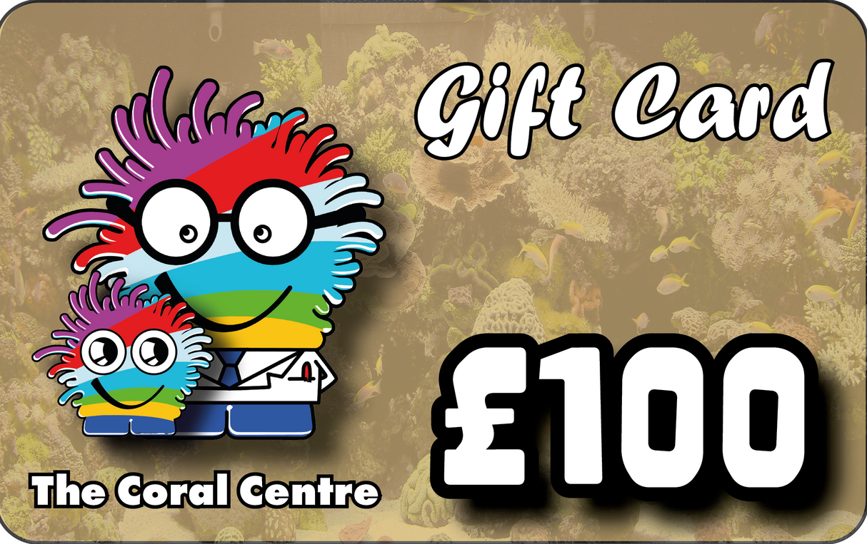 Gift Voucher £100