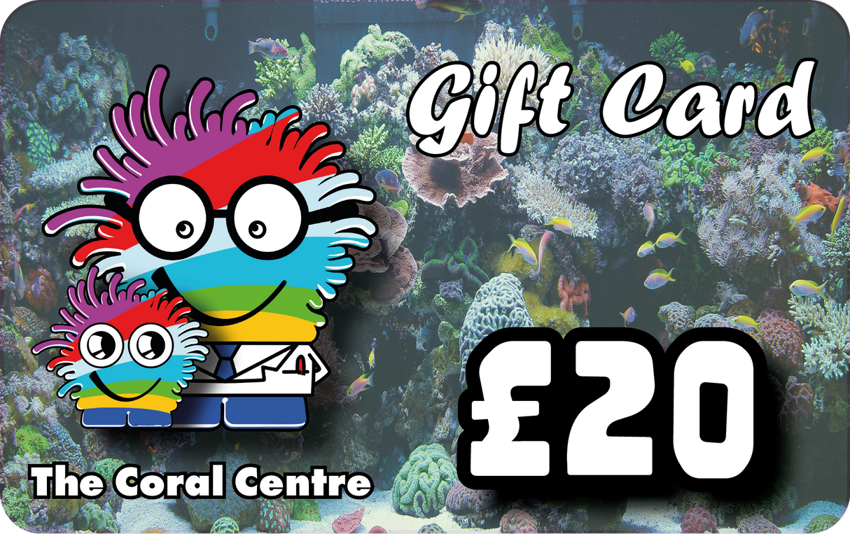 £20 Gift Voucher