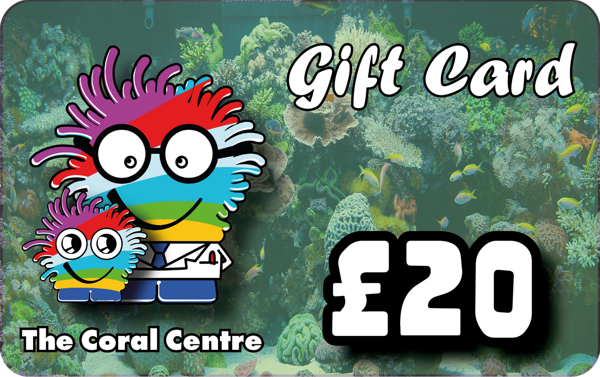 Gift Voucher £20