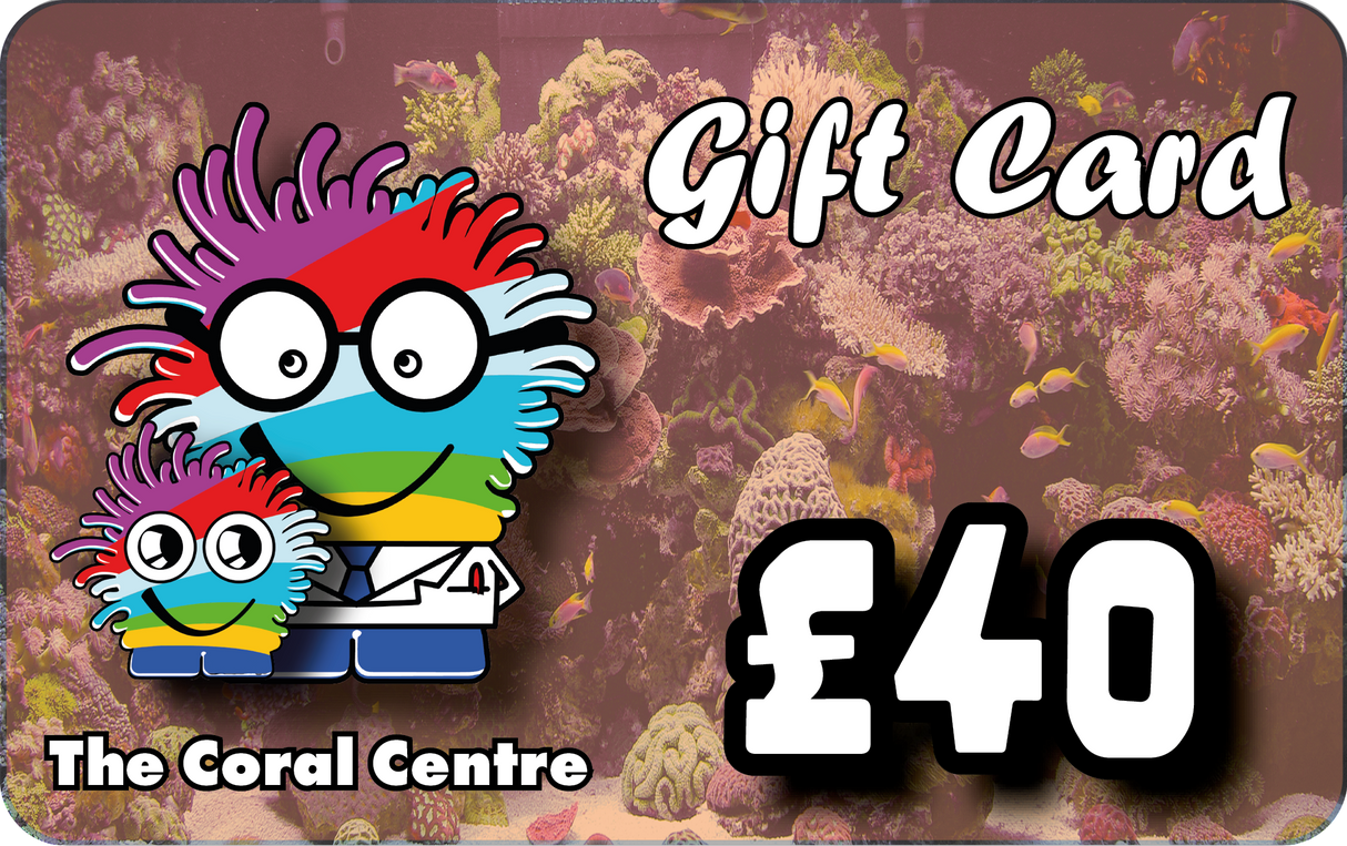 Gift Voucher £40