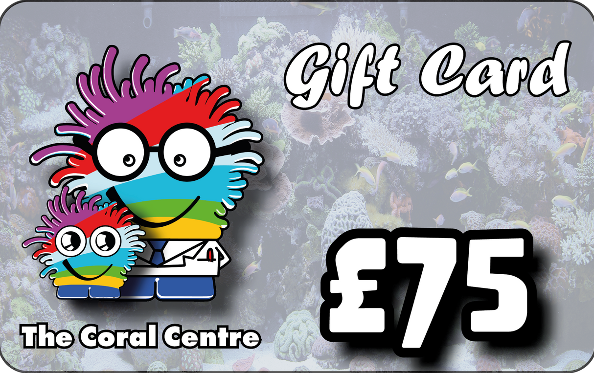 Gift Voucher £75