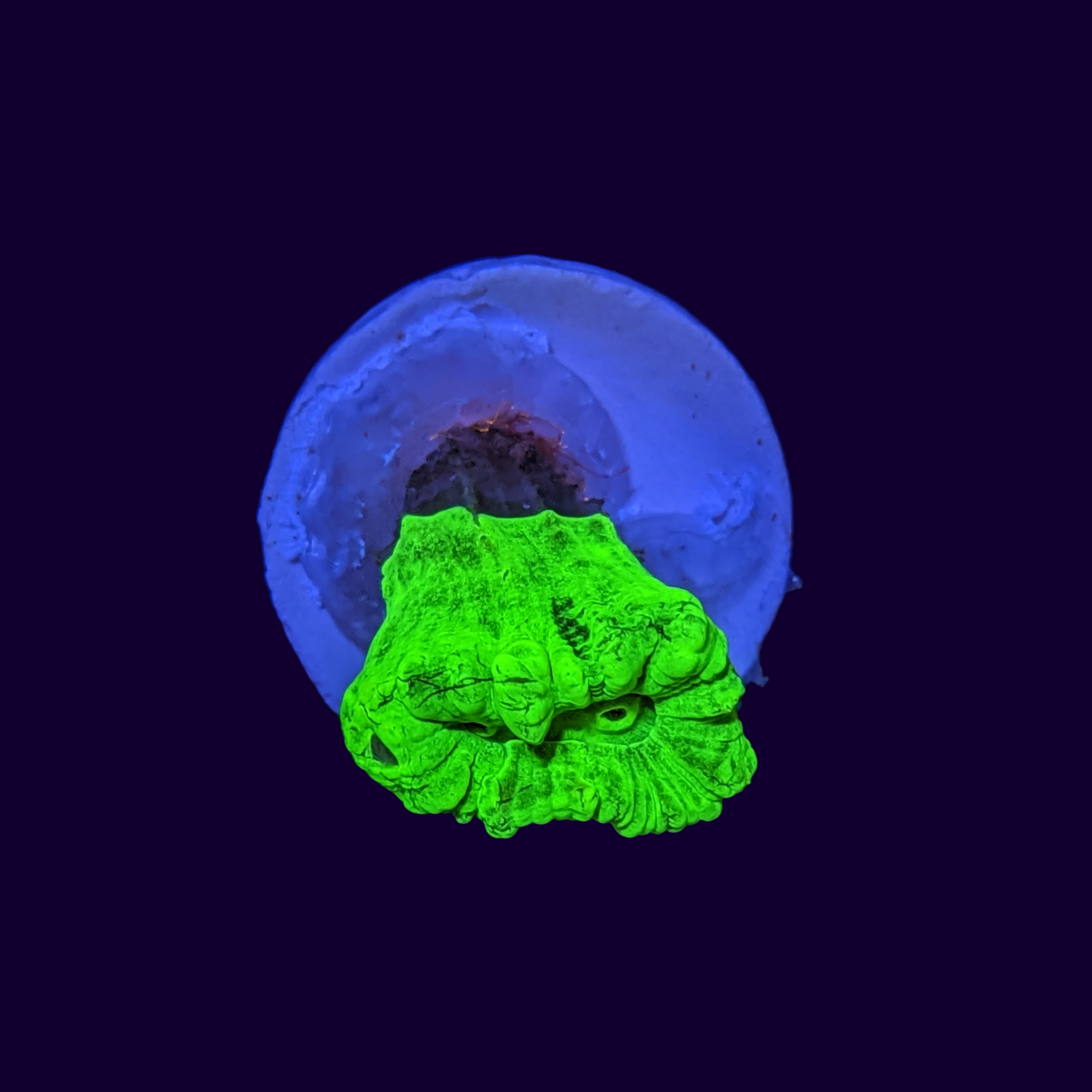 Neon Green Candy Cane