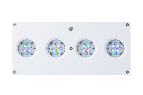 D-D AI Hydra 64HD LED Lighting - White