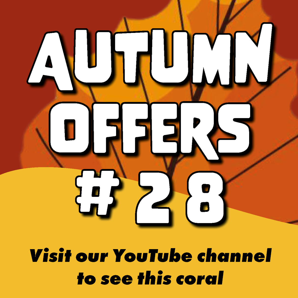 #28 Autumn Offers Deep Purple Pavona