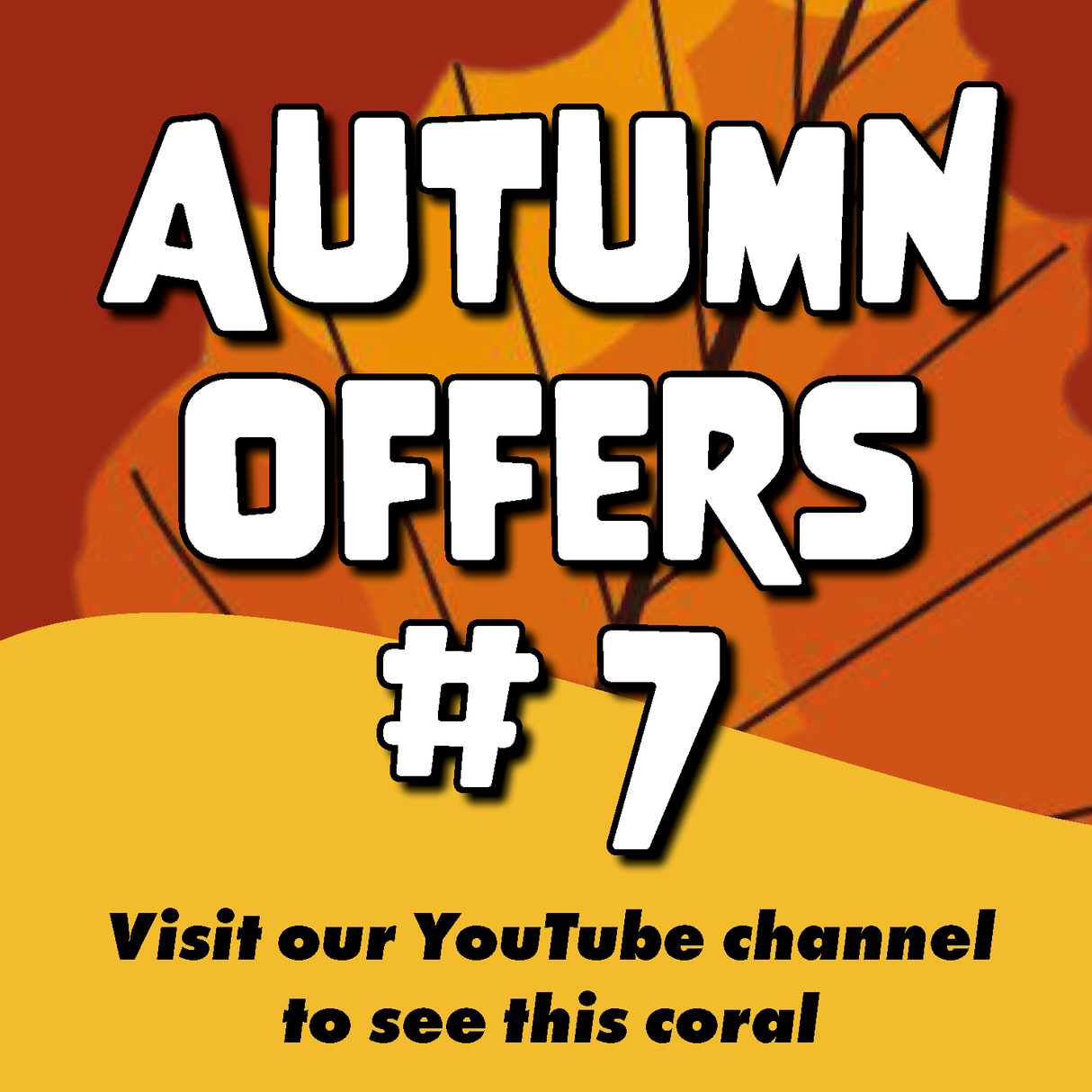 #7 Autumn Offers Acropora