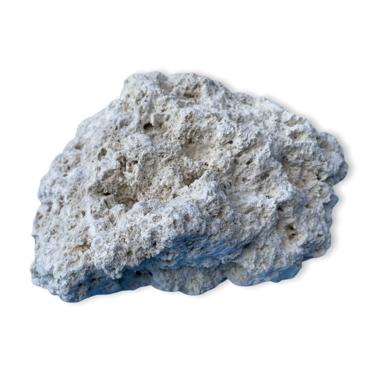 Ocean Rock - Price per 1kg