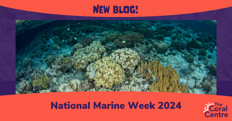 National Marine Week 2024