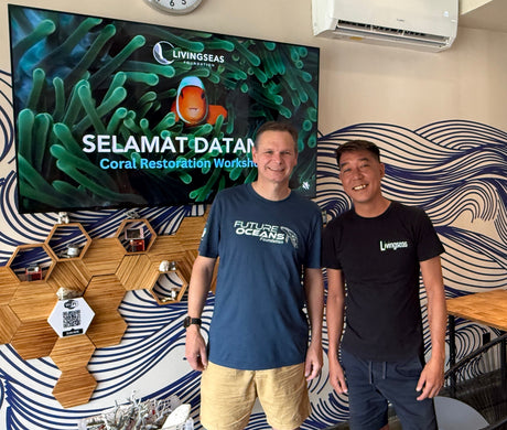 Starting a action packed week in Bali visiting Livingseas Asia