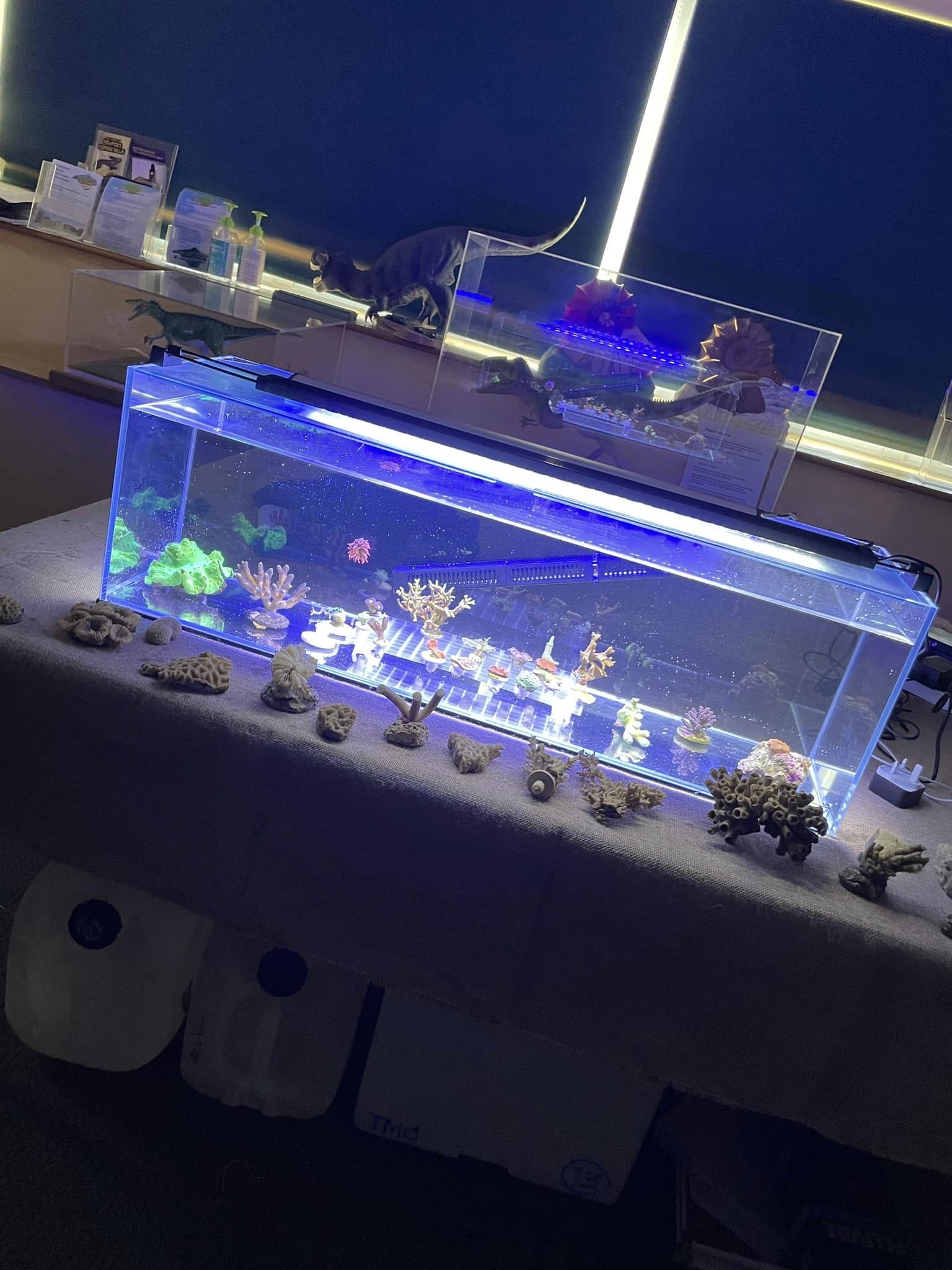 Teaching The Next Generation About Corals & Marine Life!