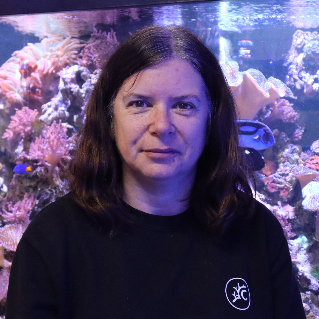 Hazel - Dispatch Manager