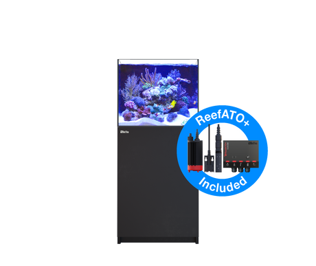 Red Sea Reefer MAX 200 G2+ - Black