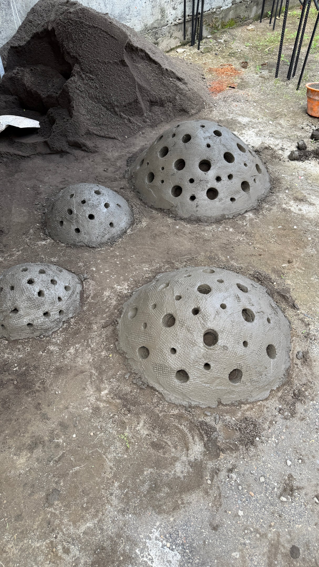 CoralPod® – Sponsor a Biodiversity Pod in Bali