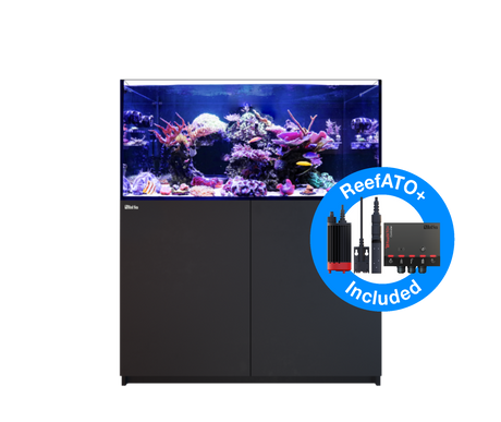 Red Sea Reefer MAX 350 G2+ - Black