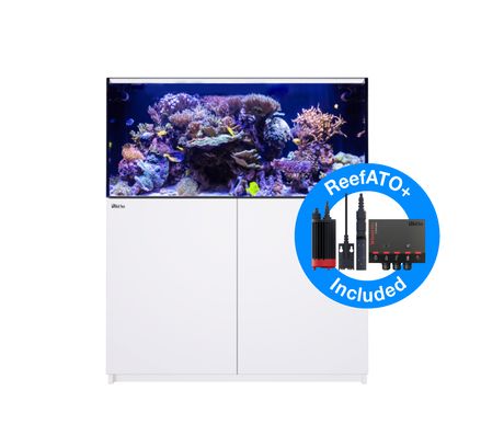 Red Sea Reefer MAX 425 G2+ - White