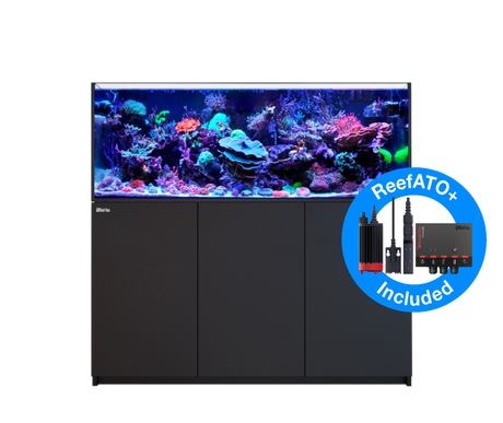 Red Sea Reefer MAX 525 G2+ - Black