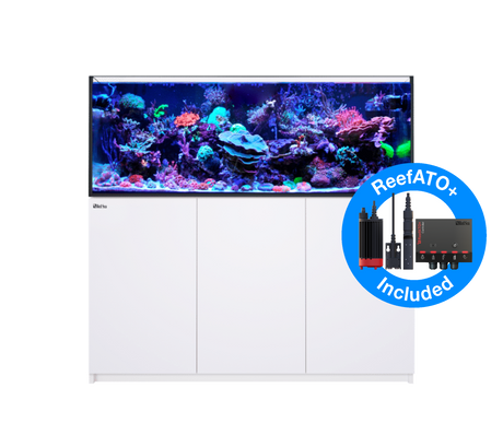 Red Sea Reefer MAX 525 G2+ - White