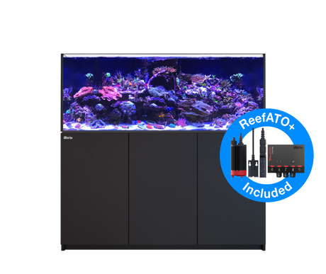 Red Sea Reefer MAX 625 G2+ - Black