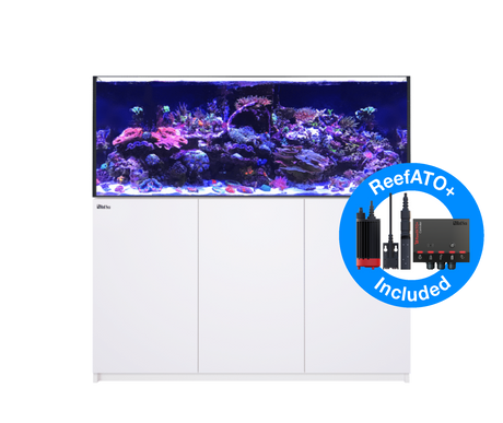 Red Sea Reefer MAX 625 G2+ - White