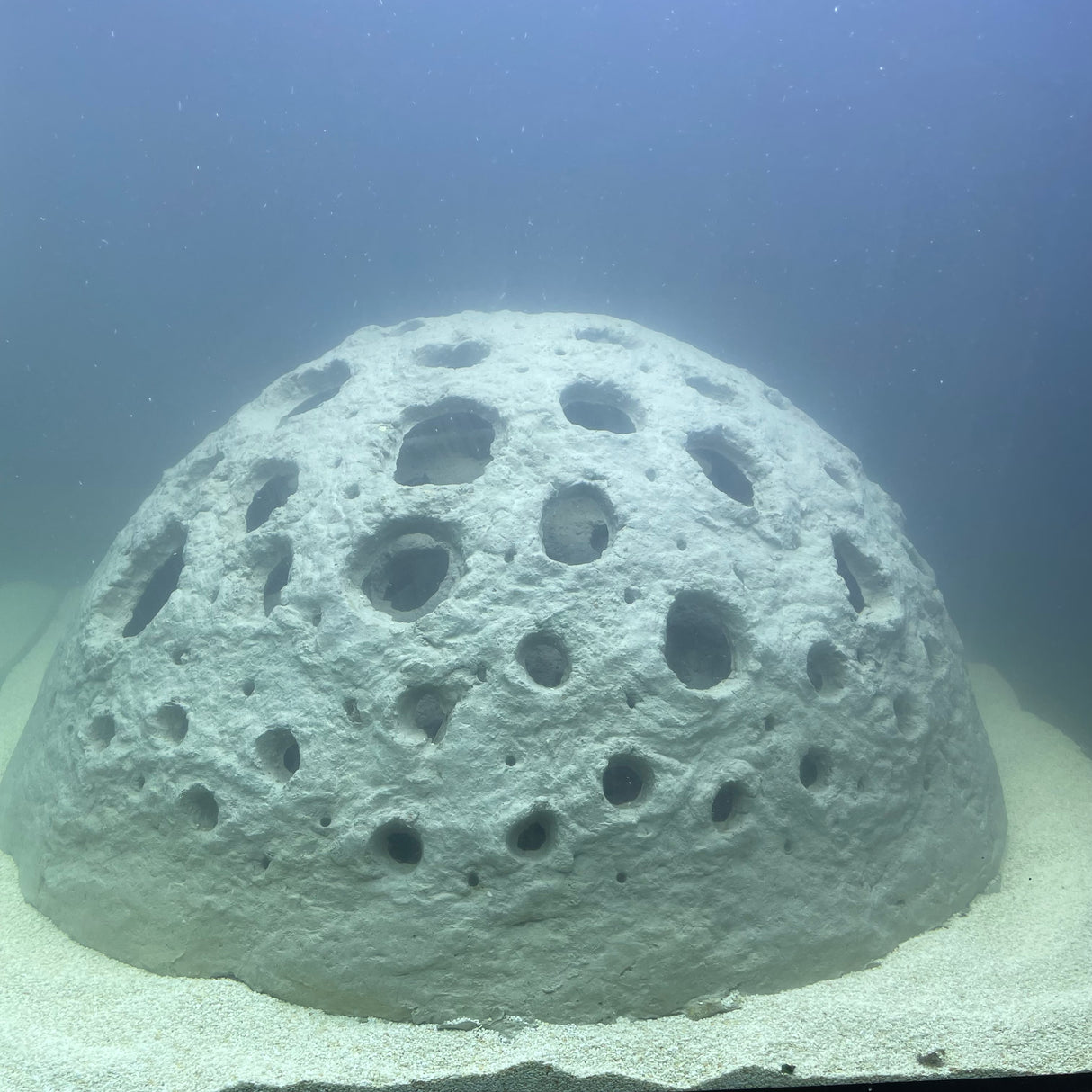 CoralPod® – Sponsor a Biodiversity Pod in Bali