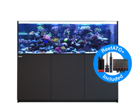 Red Sea Reefer MAX 750 G2+ - Black