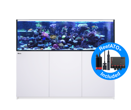 Red Sea Reefer MAX 750 G2+ - White