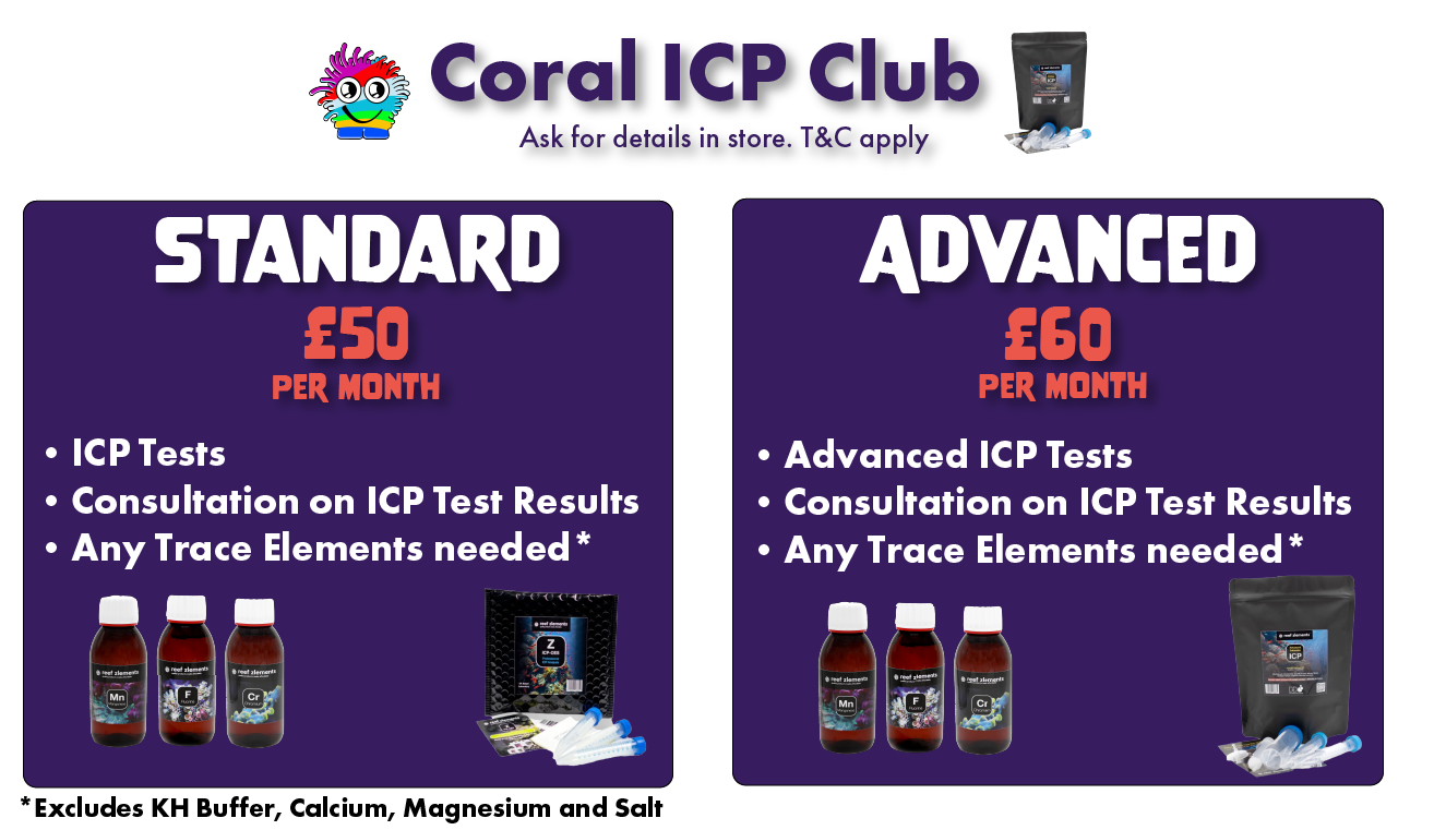 ICP Monthly Subscription (ICP Club)