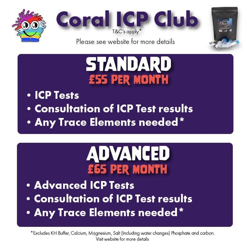 ICP Monthly Subscription (ICP Club)