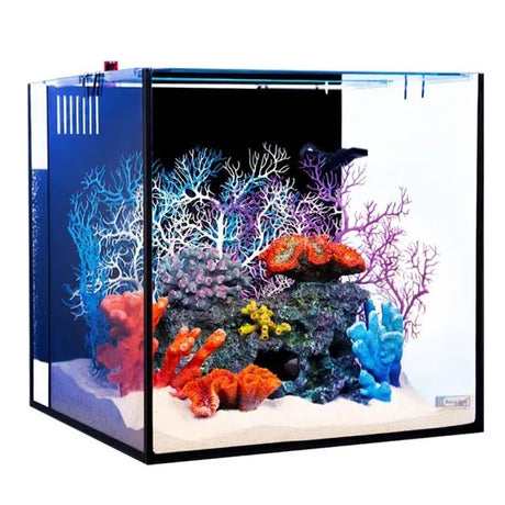 Aqua One NanoReef 80 Marine set Aquarium & Cabinet