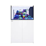 Red Sea Reefer Peninsula 350 G3 White