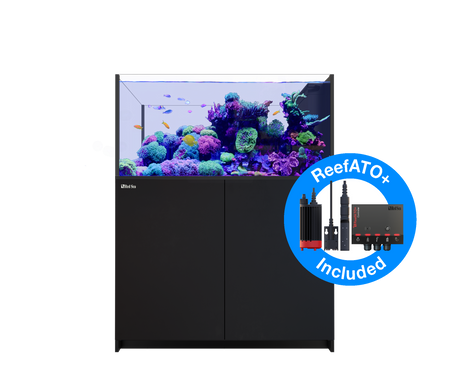 Red Sea Reefer MAX Peninsula 500 G2+ - Black