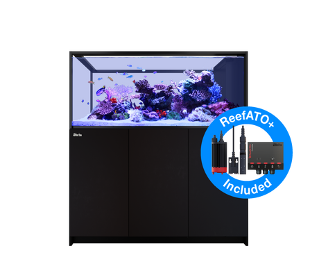 Red Sea Reefer MAX Peninsula S-700 G2+ - Black