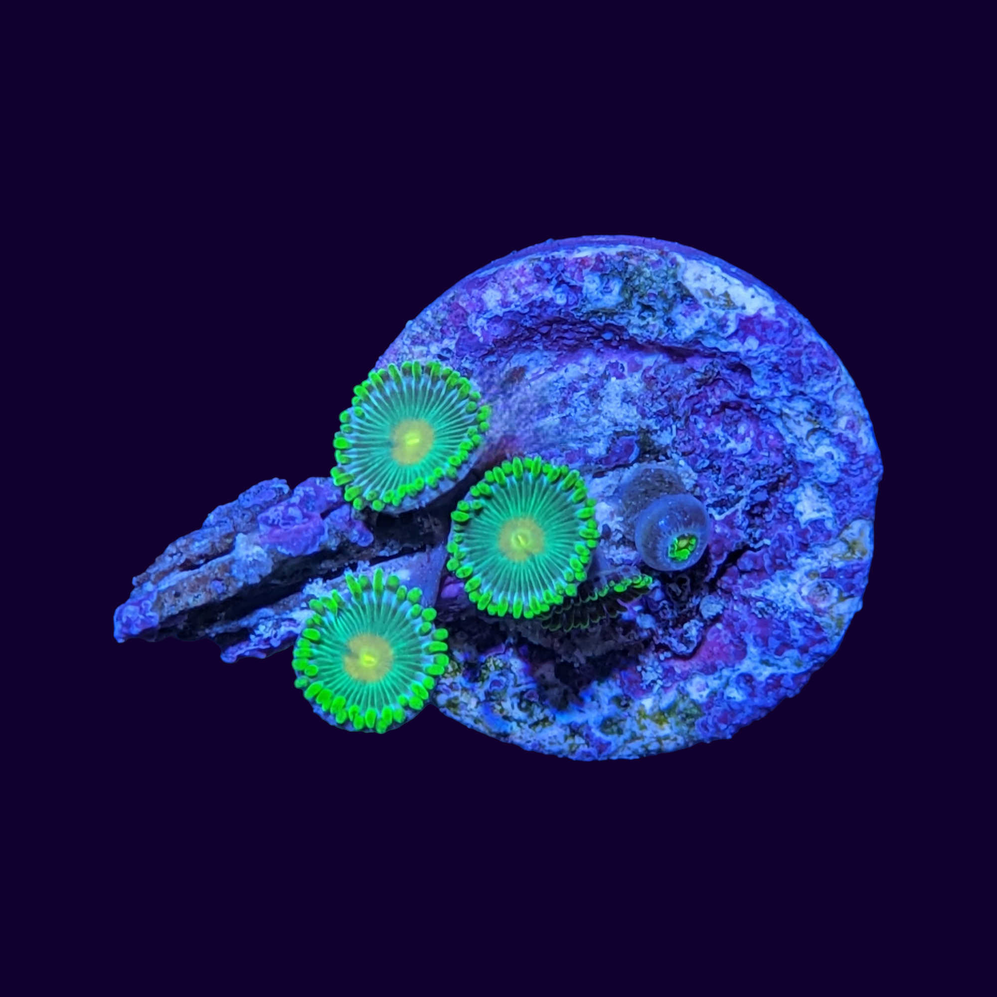 John Deere Zoa Frag