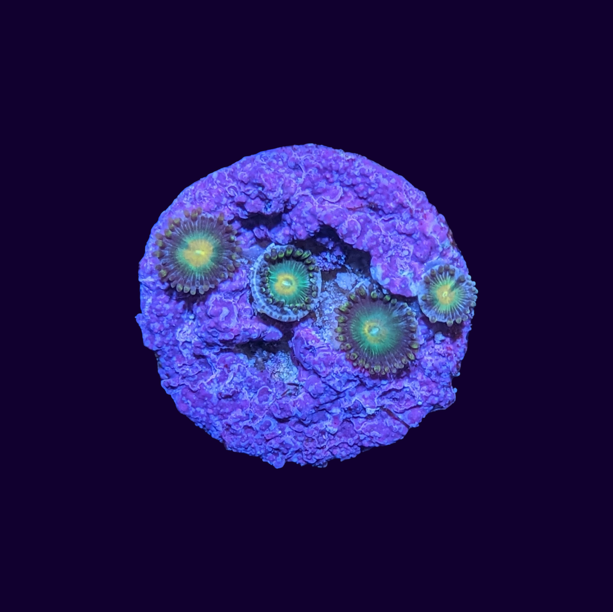 John Deere Zoa Frag