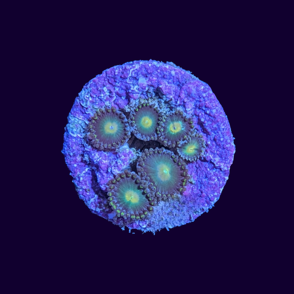 John Deere Zoa Frag