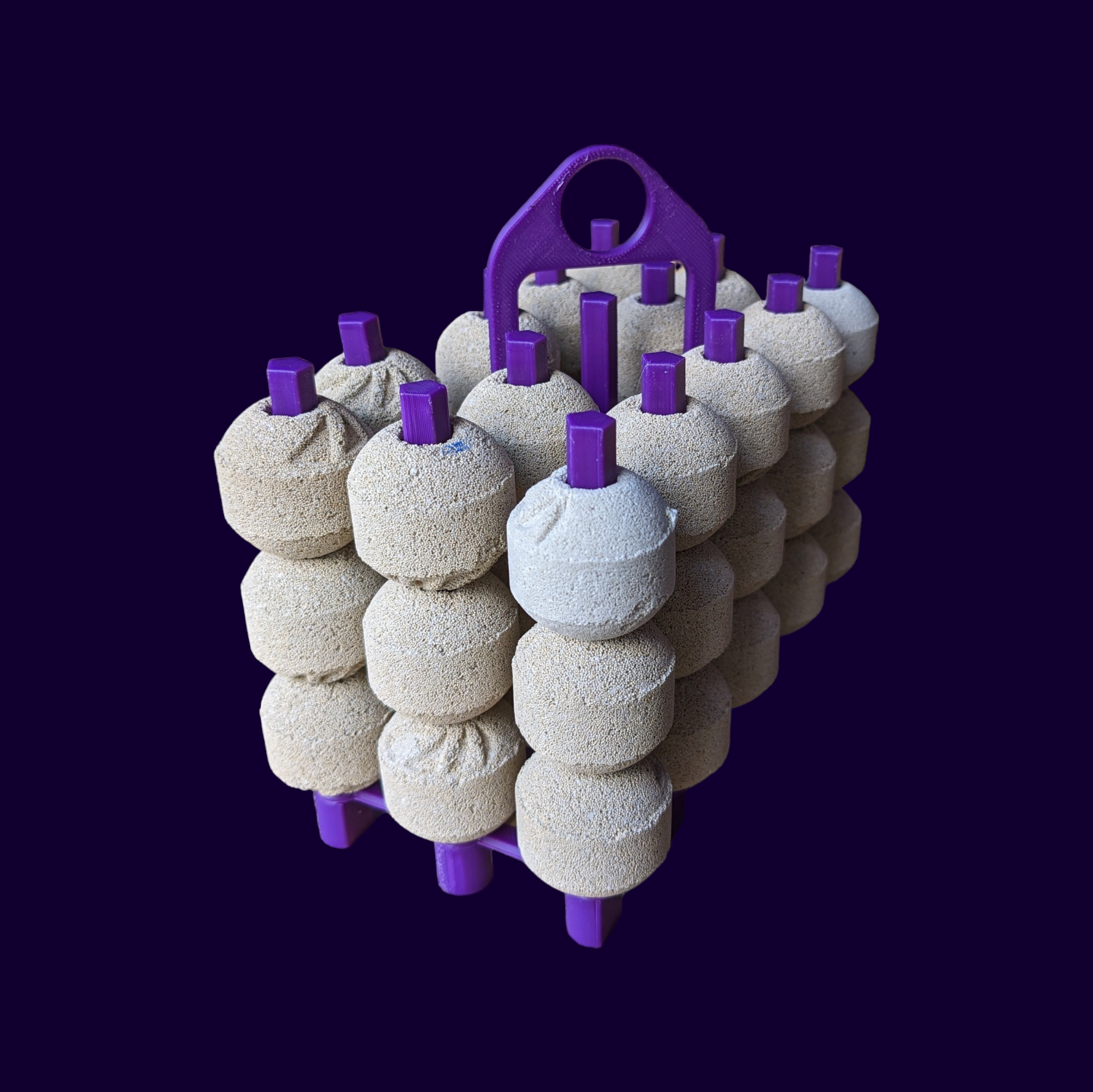 Aqua Edge 3D-Printed Bio-balls Holder